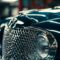 Aperçu des prix des Panhard PL17 selon les différents modèles